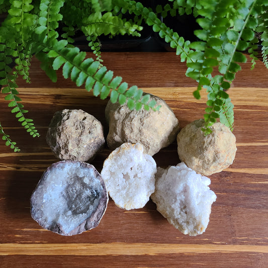 6-Pack of Premium Crackable Geodes with Mythological Story Inserts – Unique Crystal Geodes for Display, Natural Decor, and Spiritual Gift Sets