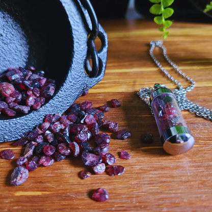 Healing Garnet Crystal Necklace with Smoothed Gemstone Chamber for Energy Absorption – 20.9” Chain, Empowering Crystal Jewelry for Passion, Strength, and Vitality