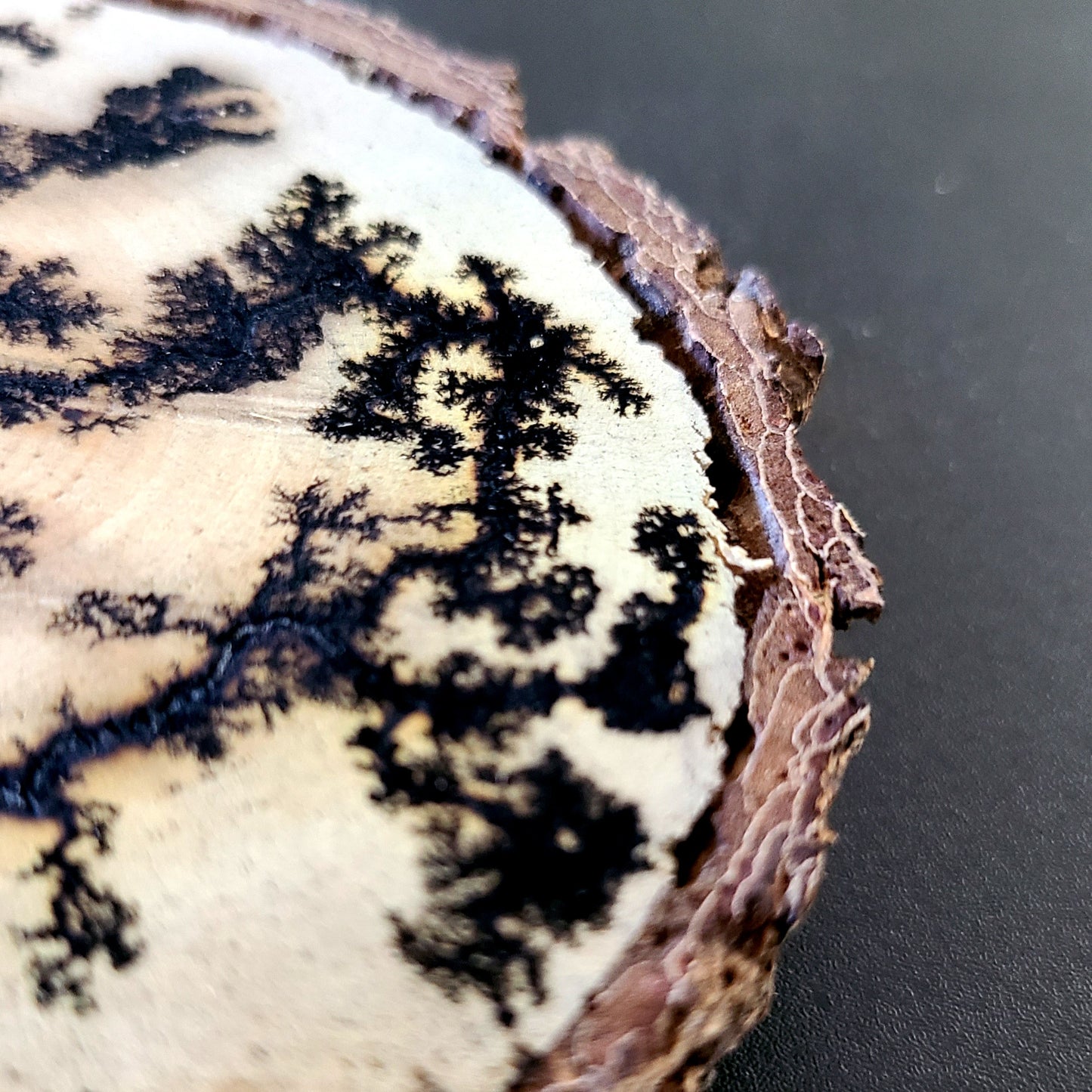 Lichtenberg Wood Burn Art – Handcrafted Fractal Burned Wood Decor – One of a Kind